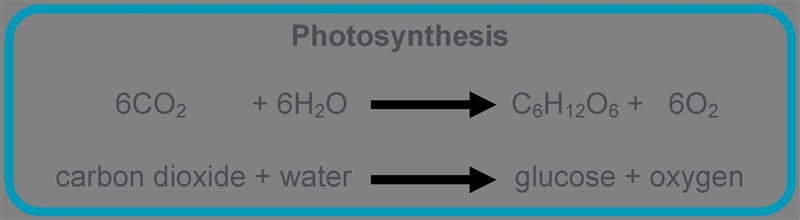 The process of photosynthesis-example-1