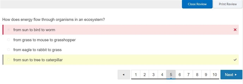 How does energy flow through organisms in an ecosystem A from sun to tree to caterpillar-example-1