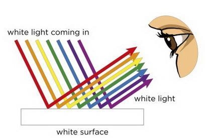 Hector looks around his classroom at different objects. Which object reflects almost-example-1