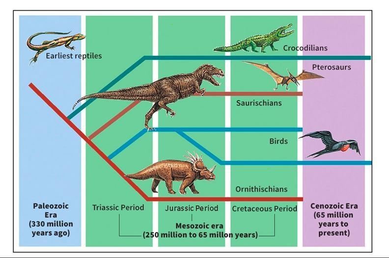 Evolution is the that happens over time in a population, giving rise to new The theory-example-1