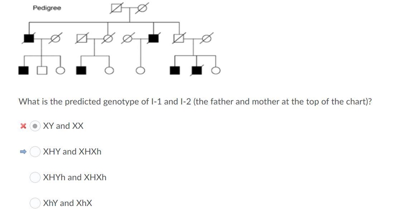 What is the predicted gentotype of I1 and I2 (the father and mother at the top of-example-1