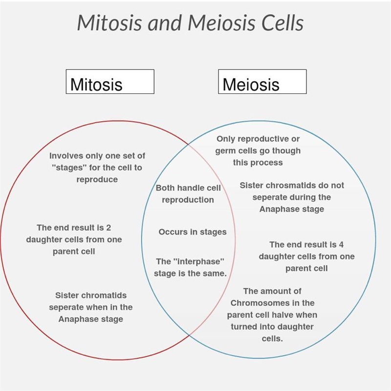 Ven diagram between mitosis and meiosis-example-1