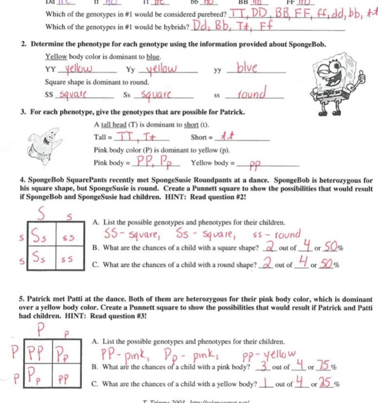 What square shape is dominant to SS-example-1