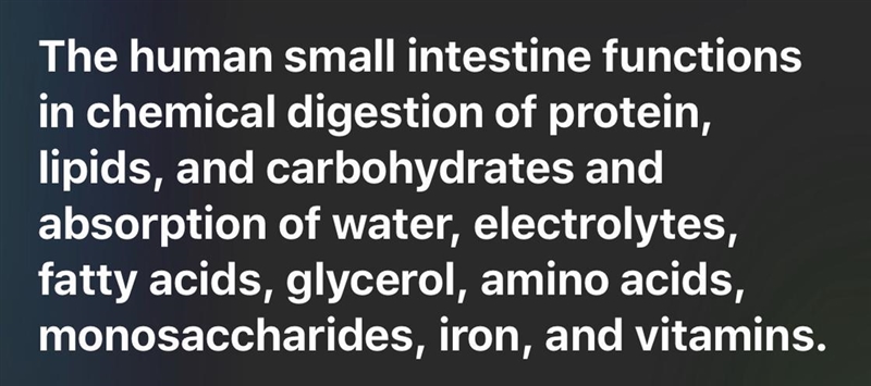 What is the function of the small intestine?-example-1