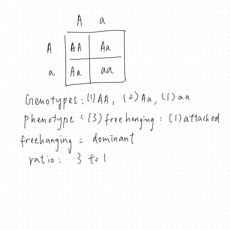 Question is in the pic. 20 points to answer.-example-1