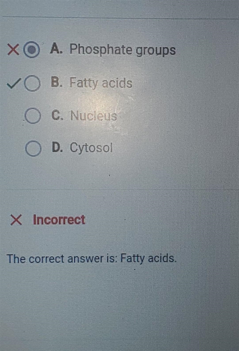 Which part of the cell membrane does not mix with water? O A. Nucleus O O O B. Fatty-example-1