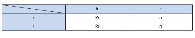 In flies, red eyes (r) are dominant to brown eyes (r). a heterozygous fly is crossed-example-1