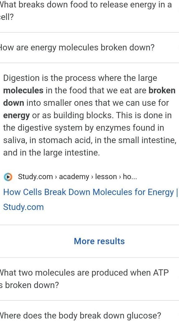 Food molecules are broken down to release energy in the?-example-1