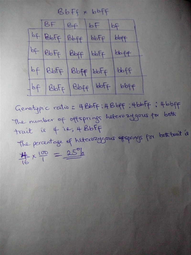 The 1860s Gregor Mendel performed numerous dihybrid crosses between pea plants. Dihybrid-example-1