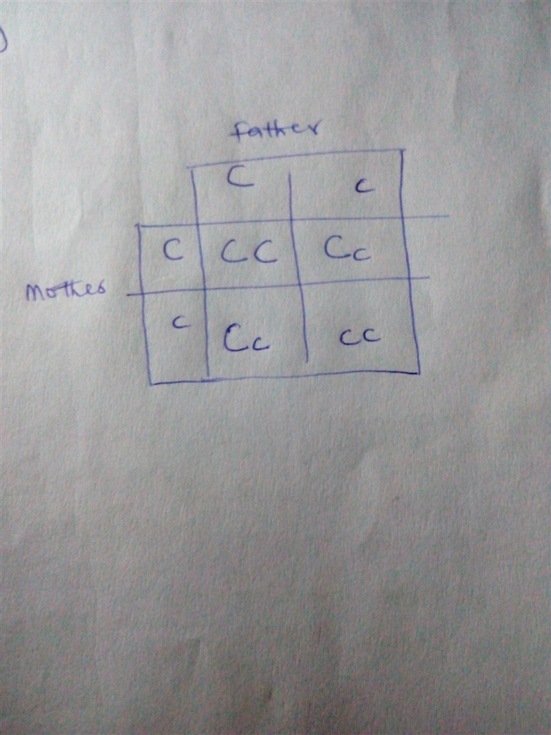 In a population of dogs, the allele for curly hair is dominant over the allele for-example-1