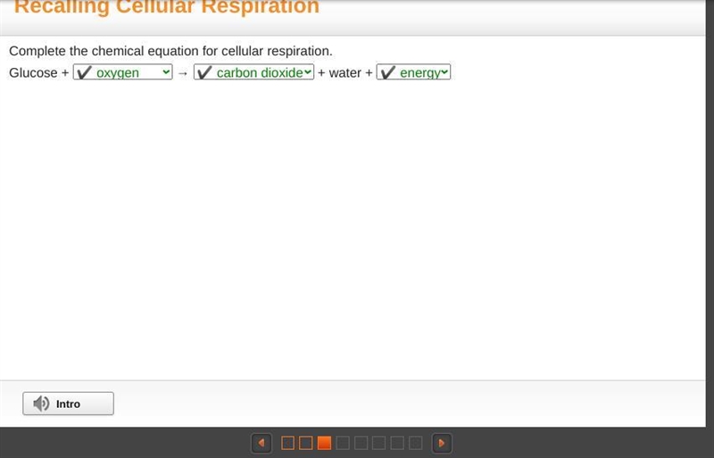 Complete the chemical equation for cellular respiration. Glucose + + Water --example-1