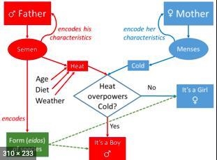 The study of passing traits from parents to offspring is known as, heredity genetics-example-1