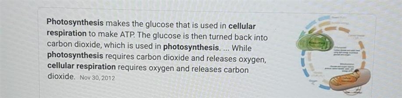 How is cellular respiration related to photosynthesis? A: sugars produced in photosynthesis-example-1