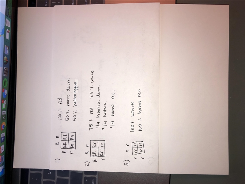 1. What conclusions can you draw about the results of your first cross between a homozygous-example-1