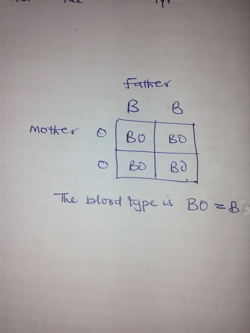 pretend that dad is homozygous for the blood type B allele, and mom is type O. what-example-1