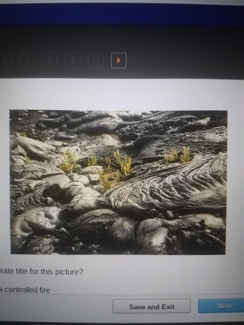 Review the picture below. A photo showing small plants sprouting from a cooled lava-example-1