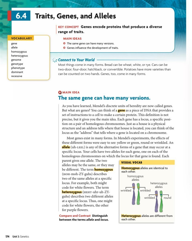 What is a gene? The different forms of a trait a segment of DNA that is-example-1