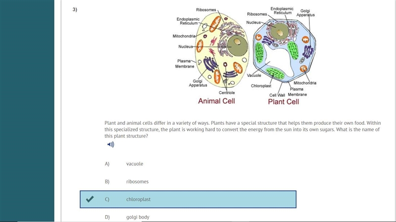 Plant and animal cells differ in a variety of ways. Plants have a special structure-example-1