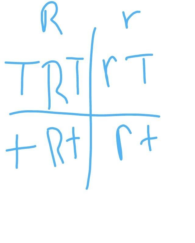 The Punnett square below represents a dihybrid cross of two rose bushes. In this species-example-1