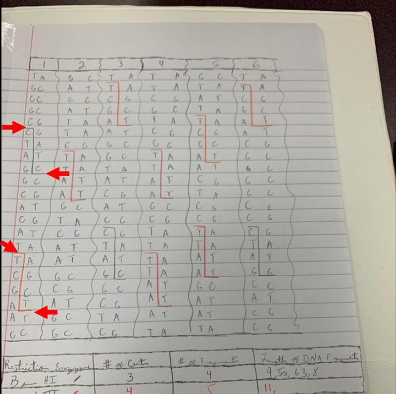 Can anyone tell me what the # of DNA fragments are?-example-1