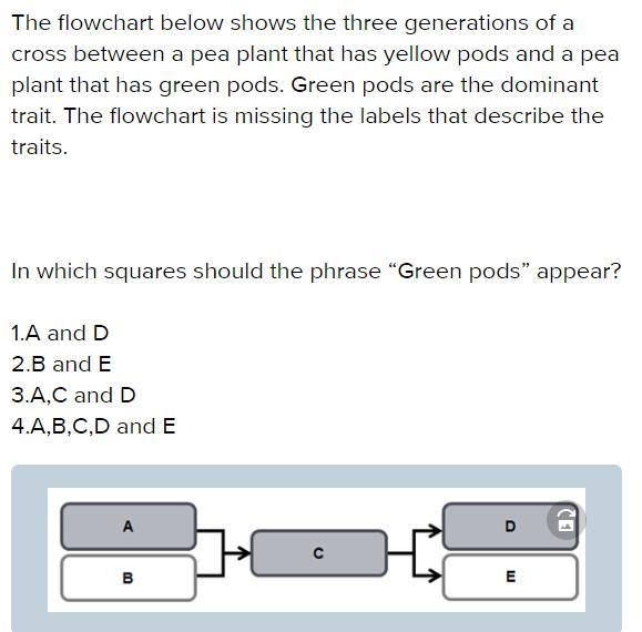 The flowchart below shows the three generations of a cross between a pea plant that-example-1