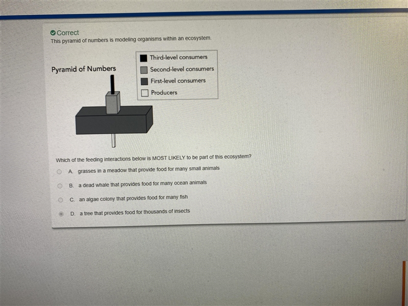This pyramid of numbers is modeling organisms within an ecosystem. Which of the feeding-example-1