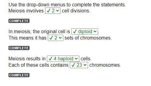 In meiosis, the original cell is___ This means it has___sets of chromosomes-example-1