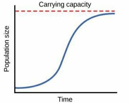 2. Describe the growth of the hypothetical population shown in the graph, beginning-example-1