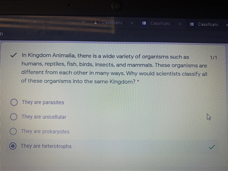 In Kingdom Animalia, there are is a wide variety of organisms such as humans, reptiles-example-1