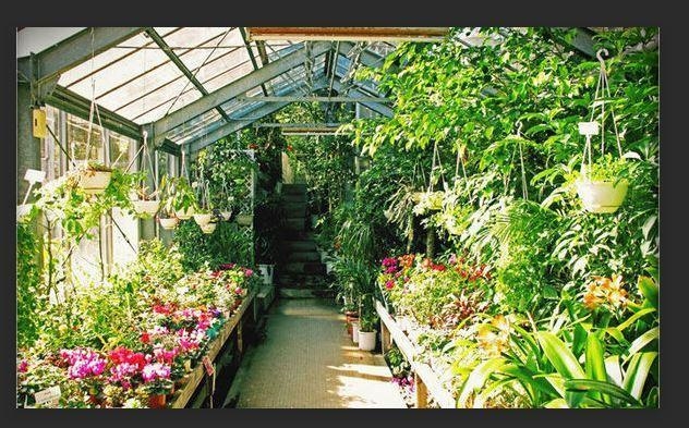 How is a greenhouse an ecosystem-example-1