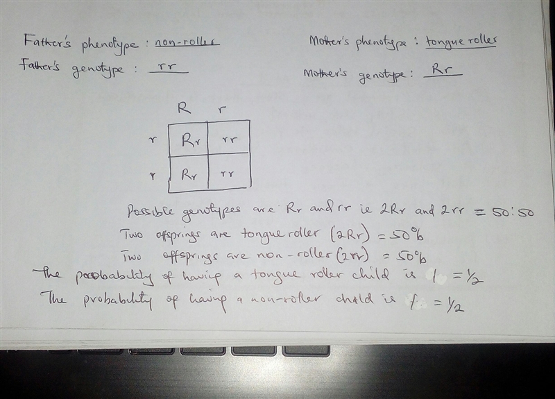 Will give 20 points if you can help and answer correctly! Punnet Squares questions-example-1