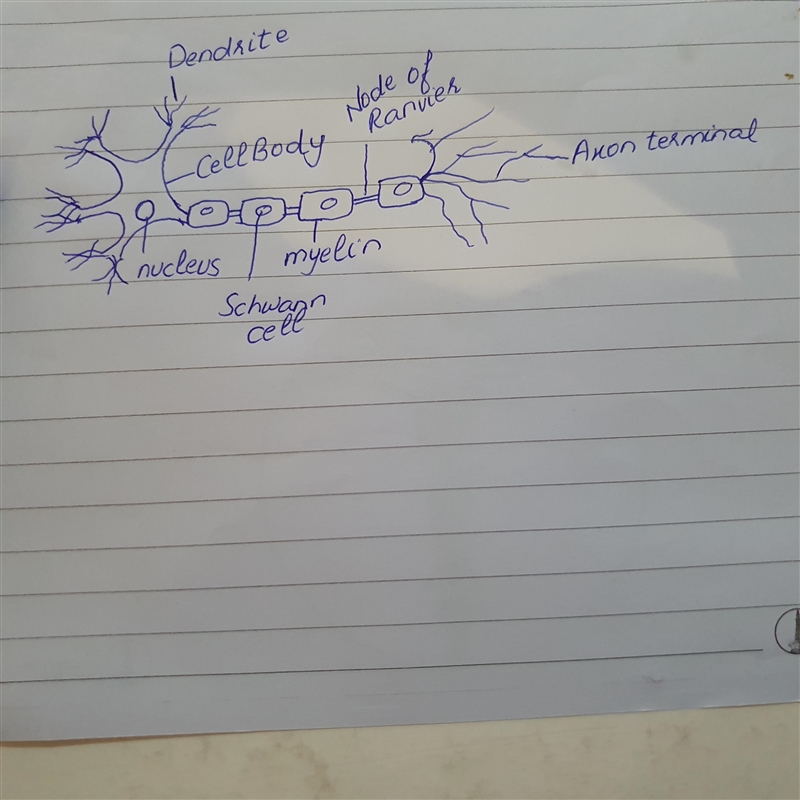 Question 7 (a) Given below are four living structures. Study the same and an questions-example-1