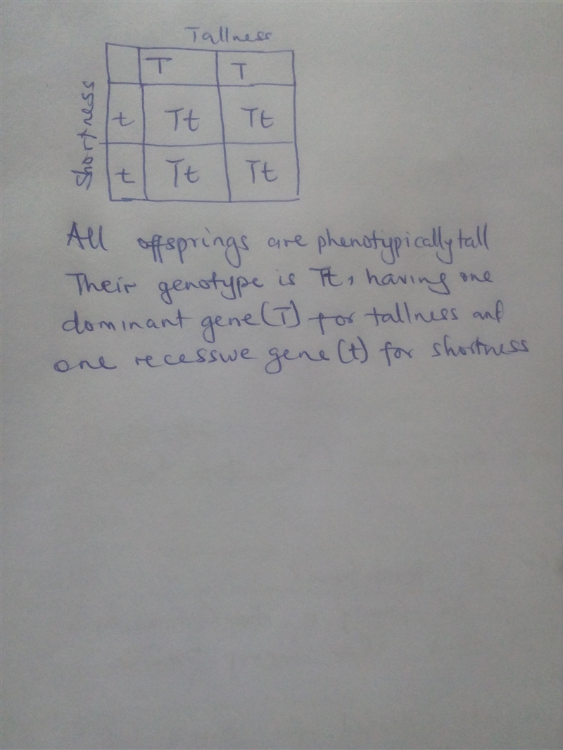 Mendel crossed a tall pea plant with a short pea plant. All the offspring in the first-example-1