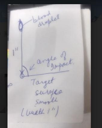 8. Diagram what a blood drop would look like from approximately 1” up at a 90 degree-example-1