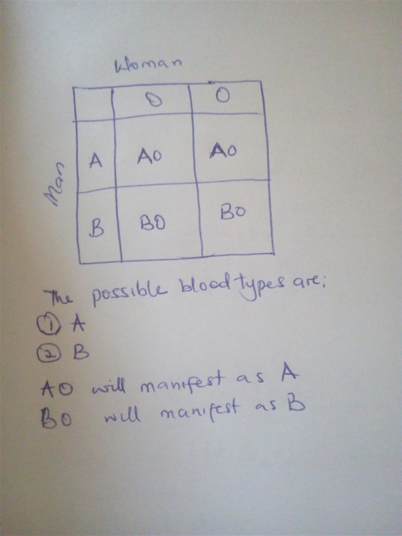 A woman with Type O blood and a man who is Type AB are expecting a child. What are-example-1