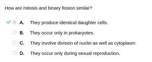 How are mitosis and binary fission similar?-example-1