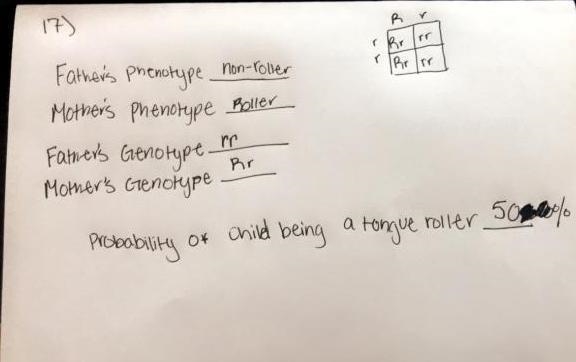 Pls help with 14-18 I have no idea what to do thx in advance-example-4