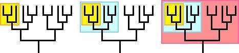 How is a clade differentiated from another clade-example-2