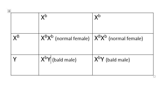 4. If you are male, which member of your family should you look at to tell whether-example-1