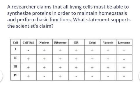 a researcher claims that all living cells must be able to synthesize proteins in order-example-1