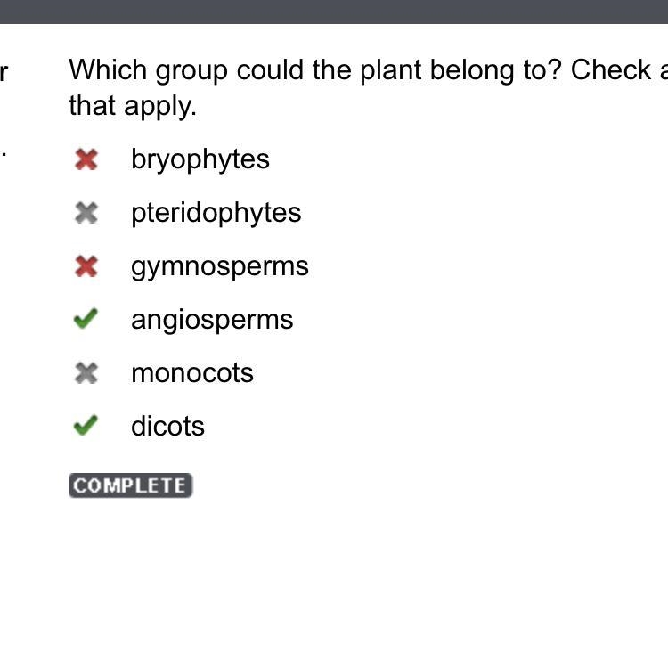 Which group could the plant belong to? Check all that apply. A. Bryophytes B. Pteridophytes-example-1