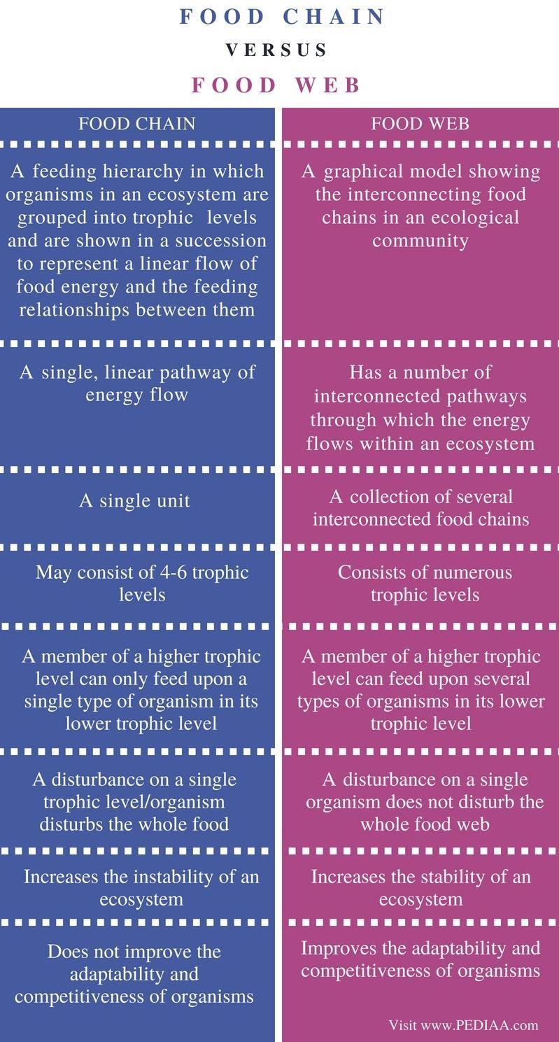 Describe how food chains are related to food webs.-example-2