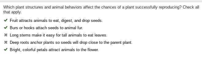 Which plant structures and animal behaviors affect the chances of a plant successfully-example-1