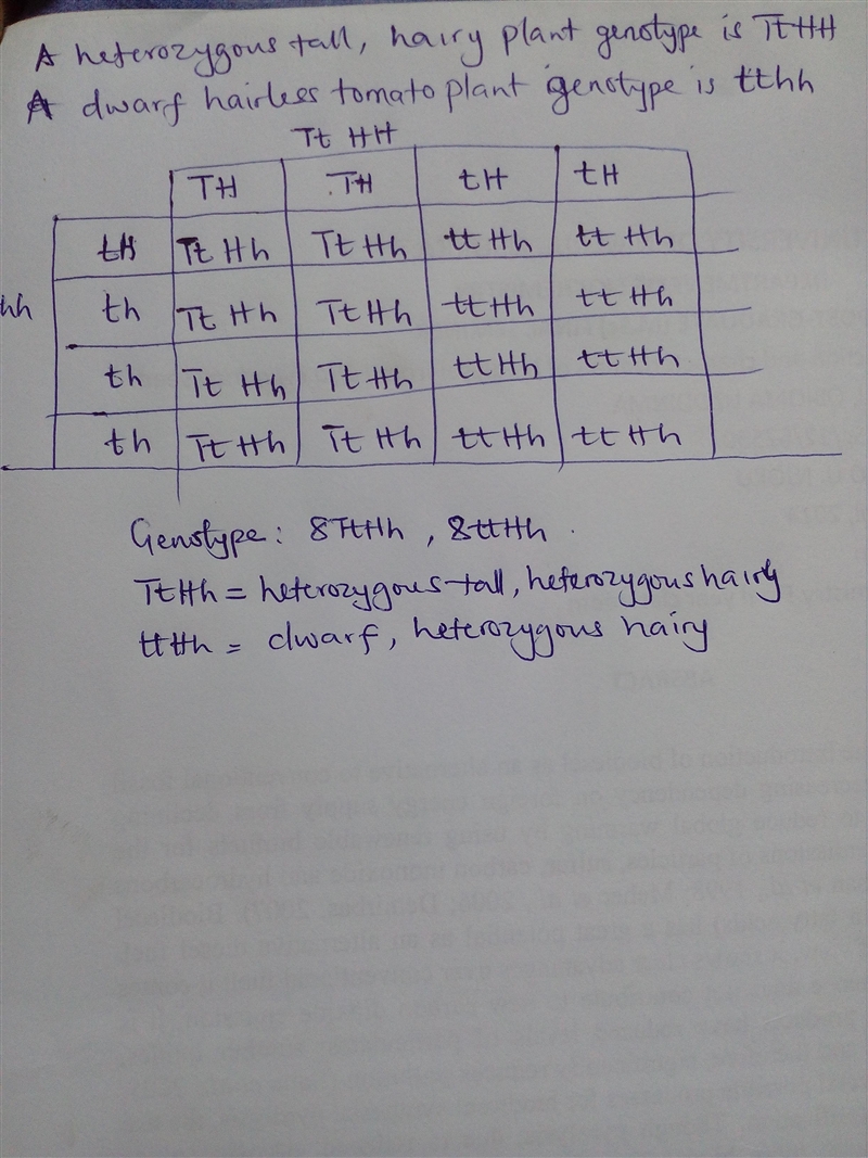 tall tomoato plants are produced by TT and dwarf plants by its recessive allele tt-example-1