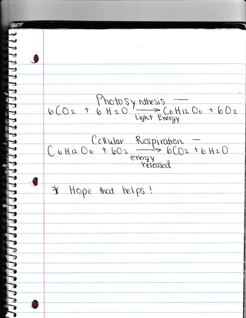 Using the reactants and products of Photosynthesis and Cellular Respiration describe-example-1