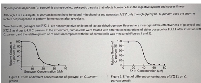 Researchers discovered a strain of C. parvum that expresses a functional variation-example-1