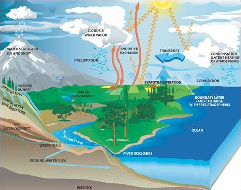 Create a graphic organizer of the water cycle. include these key terms: clouds precipitation-example-1