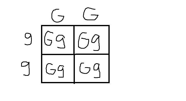 Assume you cross a pure plant that has the genotype GG with a pure pea plant that-example-1