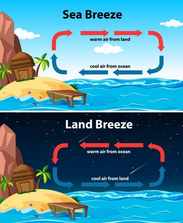 What is shown in the diagram below? A. Sun breeze B. sea breeze C. land breeze D. water-example-1