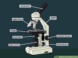 This part is used to bring the specimen into sharp focus. This part causes a very-example-1